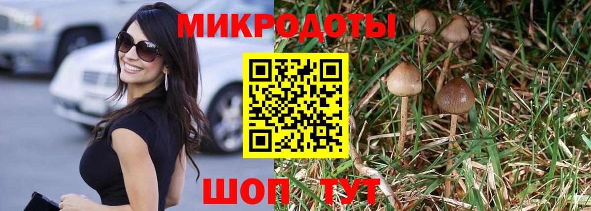 Галлюциногенные грибы Cubensis  Псилоцибиновые грибы GOLDEN TEACHER  Вход с VPN  Гатчина 
